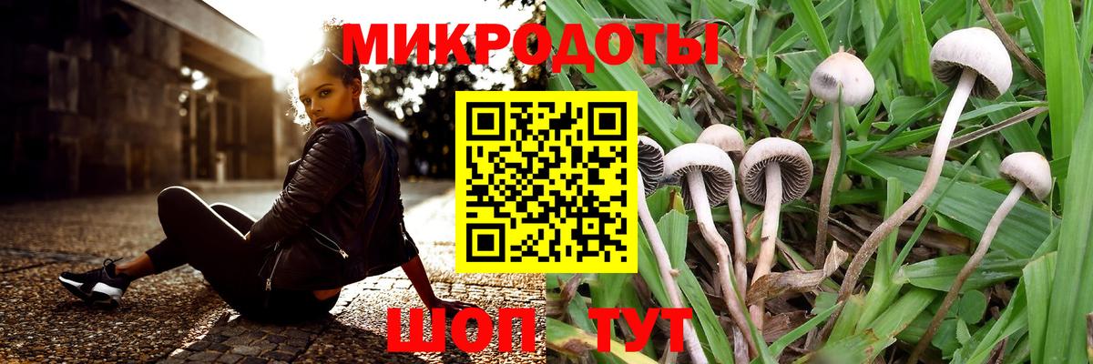 Галлюциногенные грибы мицелий Мытищи