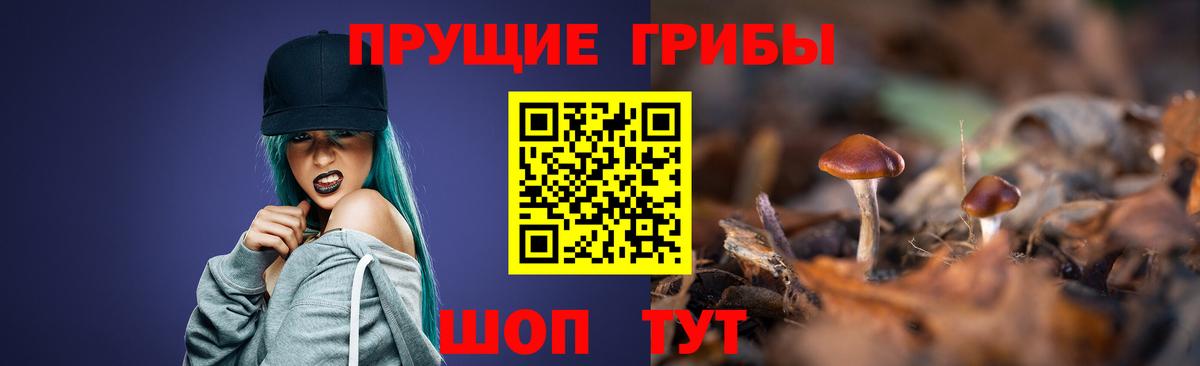 Галлюциногенные грибы GOLDEN TEACHER  Вход с VPN  наркошоп  Мытищи 
